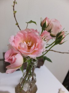 DSCF7755